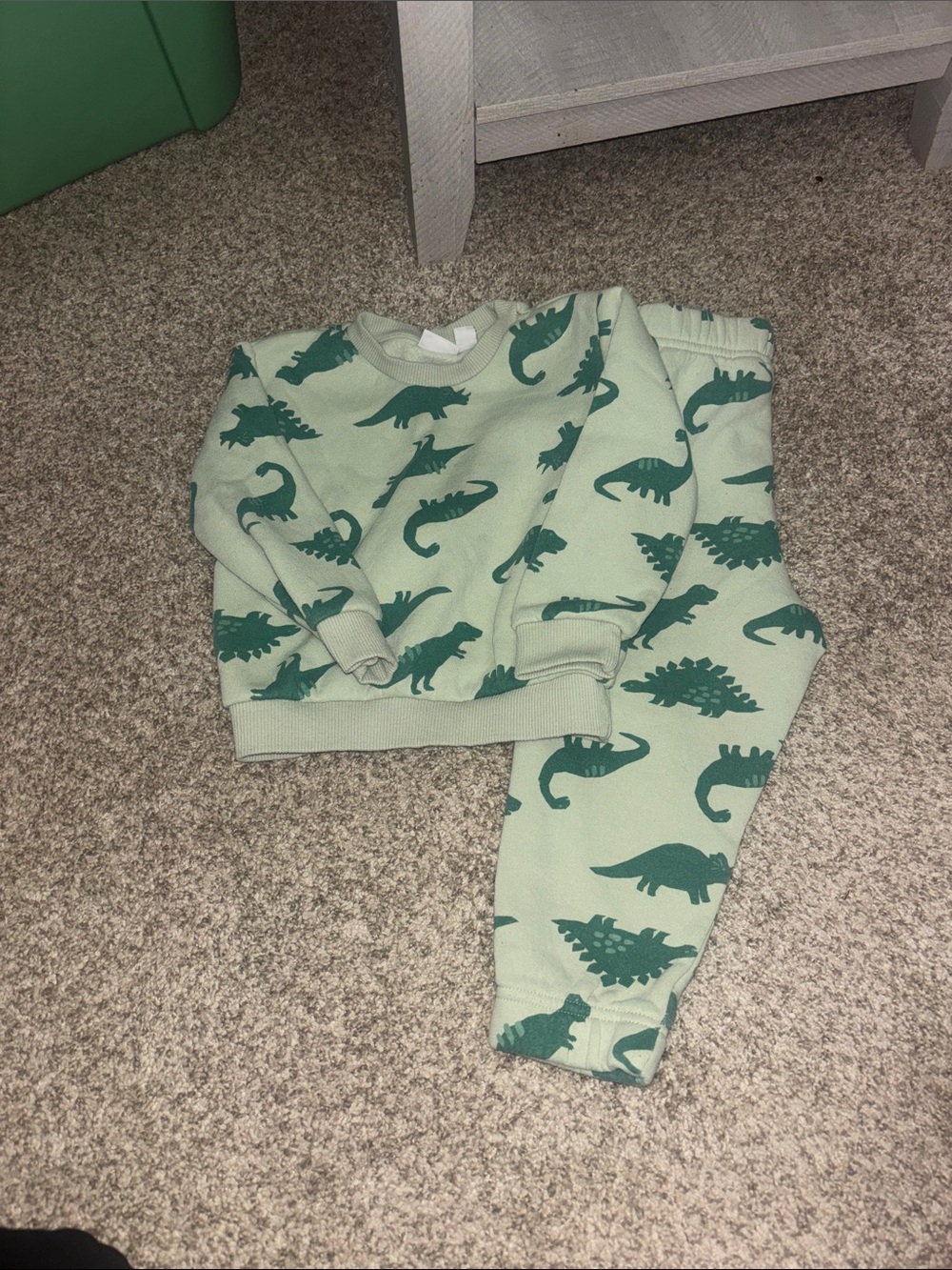 Kids Dino Print Matching Set in Sage Green - Brand Unknown